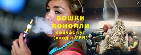 PSILOCYBIN Бронницы